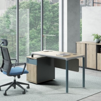 Contemporary Desk Mesh Chair High Back Office Chair